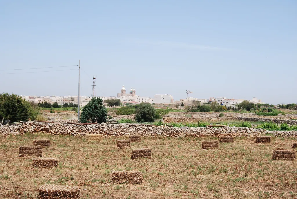 The village of Dingli and its countryside