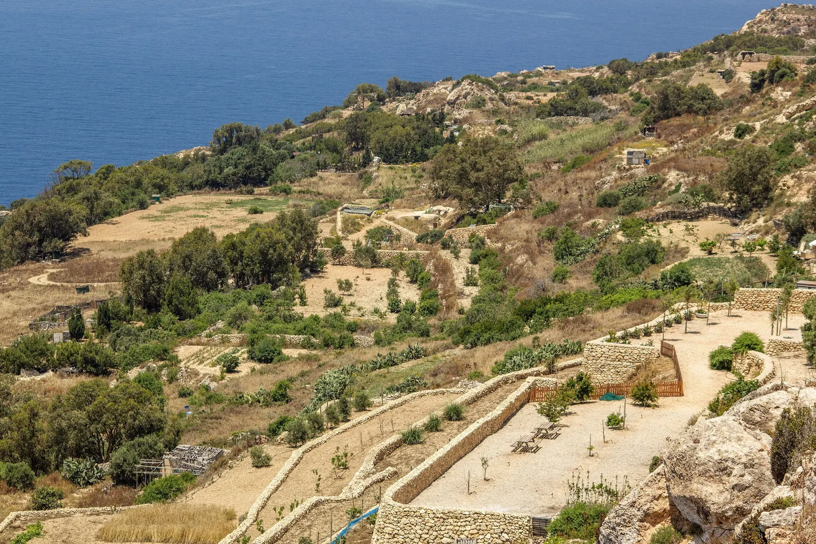 Terraced fields at Dingli Cliffs