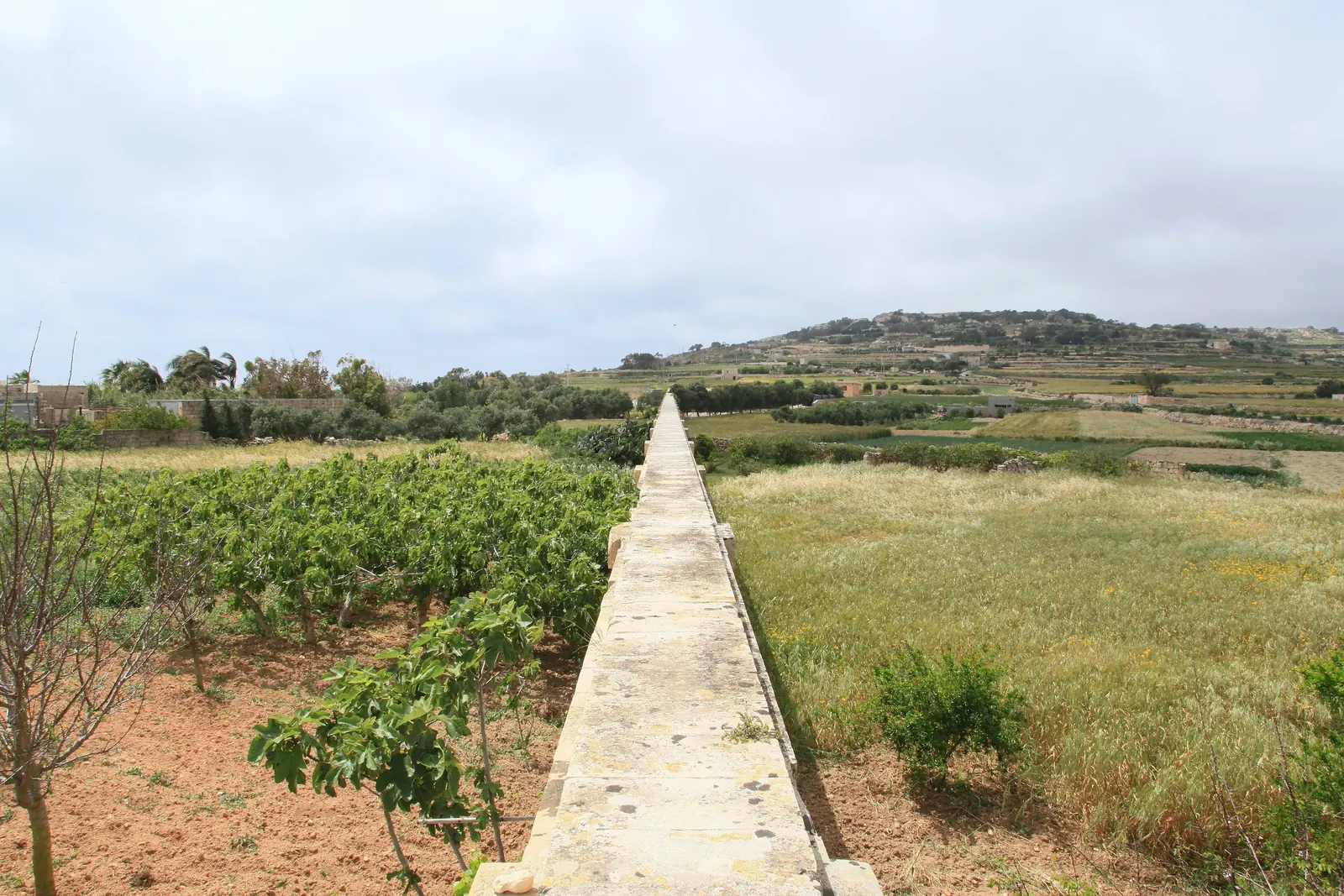 A British-era aqueduct on the road to Għar Lapsi, near Żebbuġ